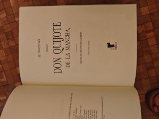 DON QUIJOTE DE LA MANCHA