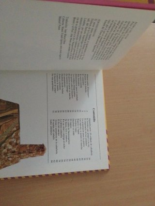 Las Legiones Romanas