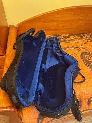 Estuche Saxo Tenor Protec