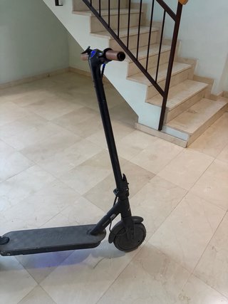 Patinete Eléctrico SmartGyro Baggio