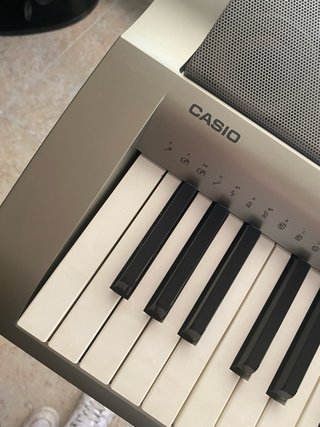 Organo Casio WK-200