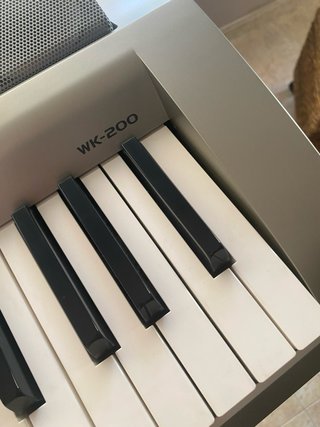 Organo Casio WK-200