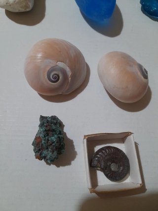 Lotto pietre e minerali da collezione