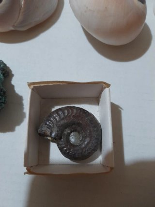 Lotto pietre e minerali da collezione