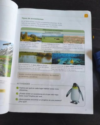 Ciencias de la Naturaleza 4 Saber Hacer PRINCIP...