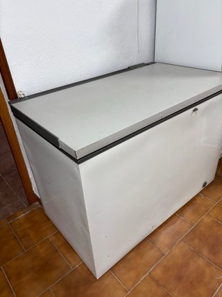Arcón Congelador Zanussi ZA 38