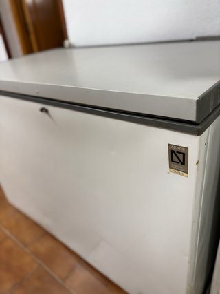 Arcón Congelador Zanussi ZA 38