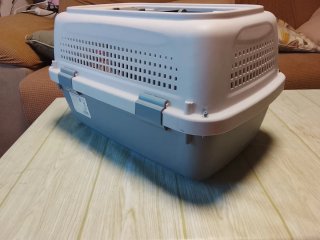 Transportín perro/gato 50x34x30 Solo 2 días de uso