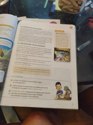 Libros 4 primaria