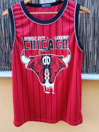 Conjunto Baloncesto Chicago Bulls