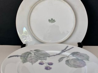 🇩🇪 Rosenthal 6 Platos Postre Porcelana