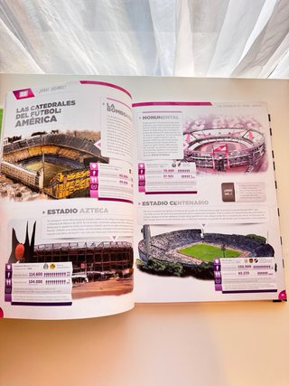 El gran libro del fútbol