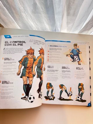 El gran libro del fútbol