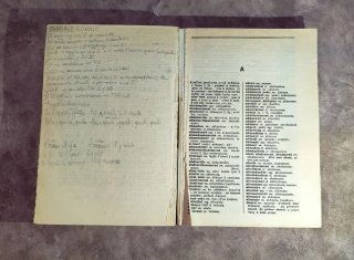 Raro e Vintage Dizionario Francese-Italiano e Ital
