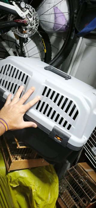 Transportín Perros/Gatos Gris y Multicolor