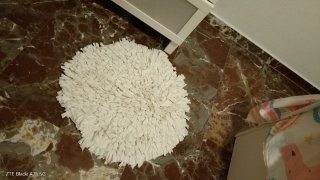Alfombra blanca