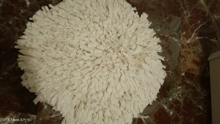 Alfombra blanca