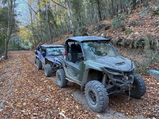 Yamaha Wolverine RMAX X2