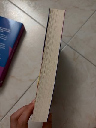 Lote antes de diciembre y despues de diciembre