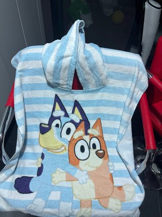 Poncho Bluey Rayas