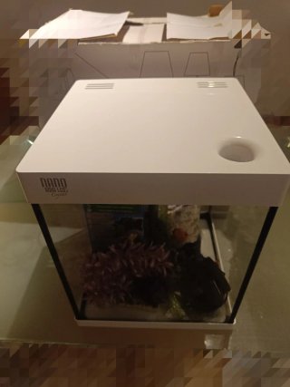 Acuario 20L con accesorios