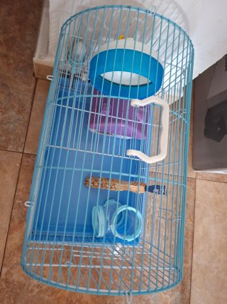 Jaula para hámster con accesorios