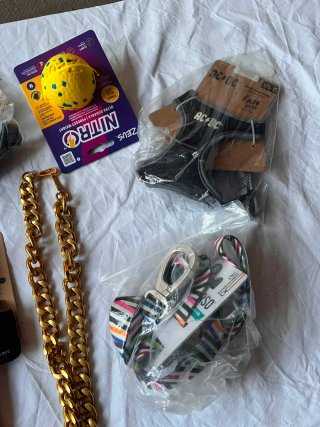 Lote Accesorios para Perro: Collar, Arnés, Juguete