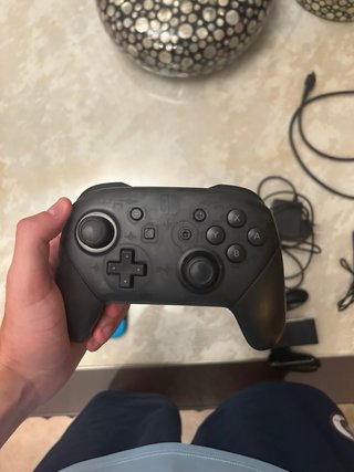 Nintendo Switch + Mando Pro