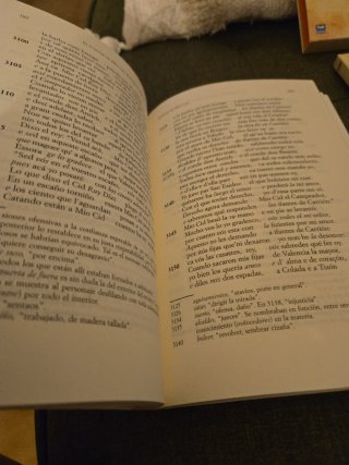El cantar de Mio Cid. Estudio y edición crítica