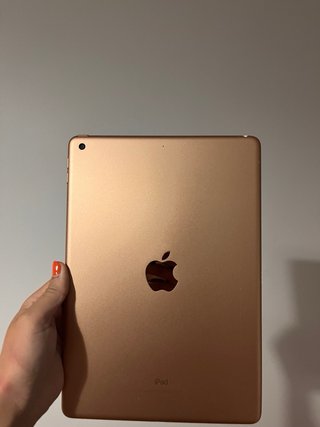 iPad 7ª Gen 10.2 Oro Rosa