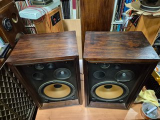 Altavoces Vintage Akai SW 155