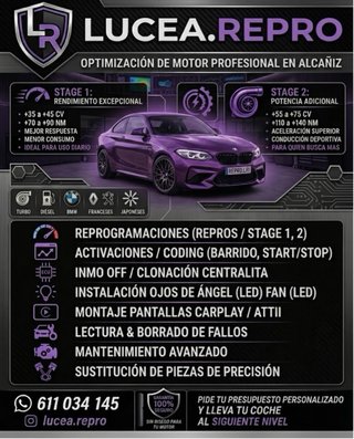 Repro Stage 1/2 + Coding + Diagnóstico + CarPlay