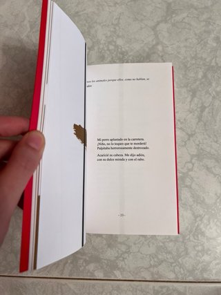 Hasta luego! - J. Tàssies (1996) - Libro poesia