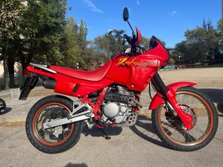 Honda NX650 Dominator 1992 - Histórica