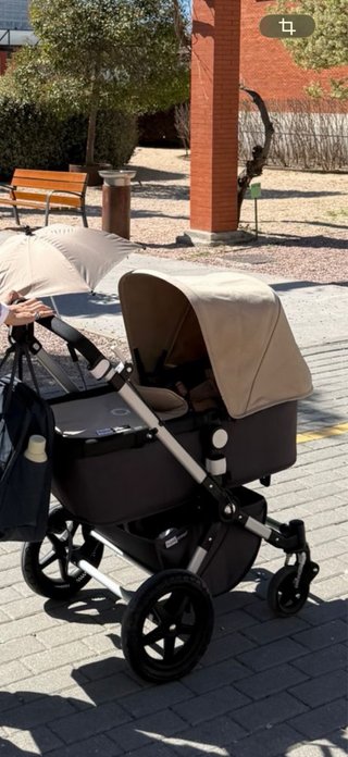 Bugaboo Cameleon con capazo