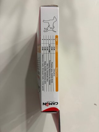 Mutandina per cane taglia 1 CAMON