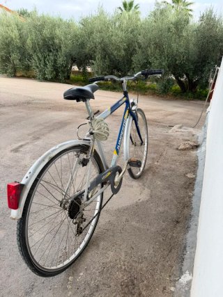 Bicicleta Giant Trek