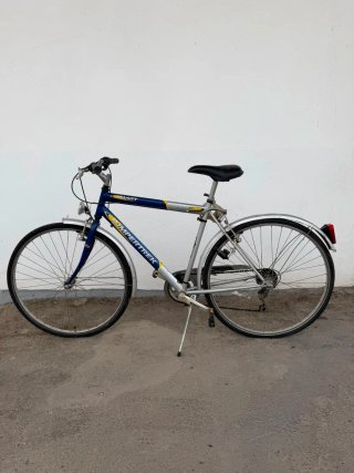 Bicicleta Giant Trek