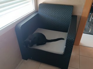 Conjunto Sofá 2 Plazas, 2 Sillones y Mesa Negra