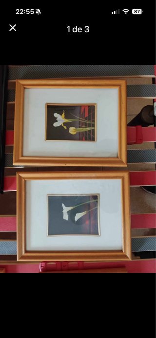 2 Cuadros Decorativos Dorados