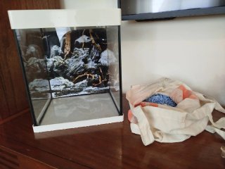 Acuario 20L con accesorios