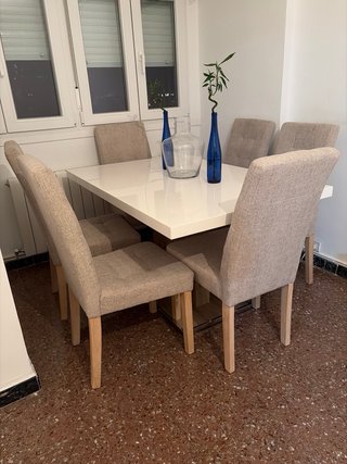 Comedor con 6 sillas