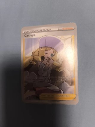 Lote Cartas Pokémon: Energía, Entrenador