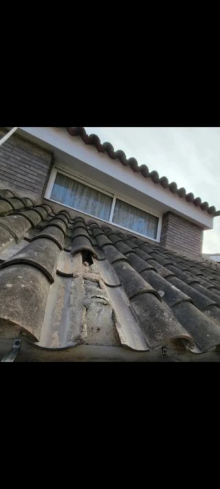REPARACIÓN DE TEJADOS
