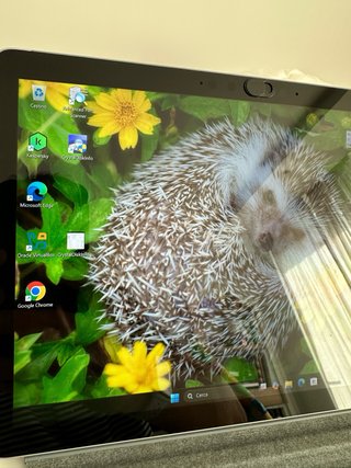 Microsoft Surface Go 3 Grigio/Argento