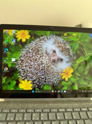 Microsoft Surface Go 3 Grigio/Argento