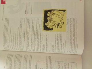 Lingua e literatura 2 bachillerato
