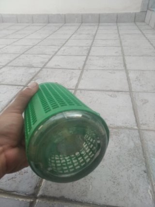 Botella Sifón Antigua revoltosa