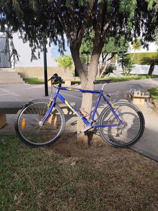 Bicicleta Montaña Peugeot Origin Azul