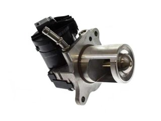 VALVULA EGR a6421402160 642140216080 73487